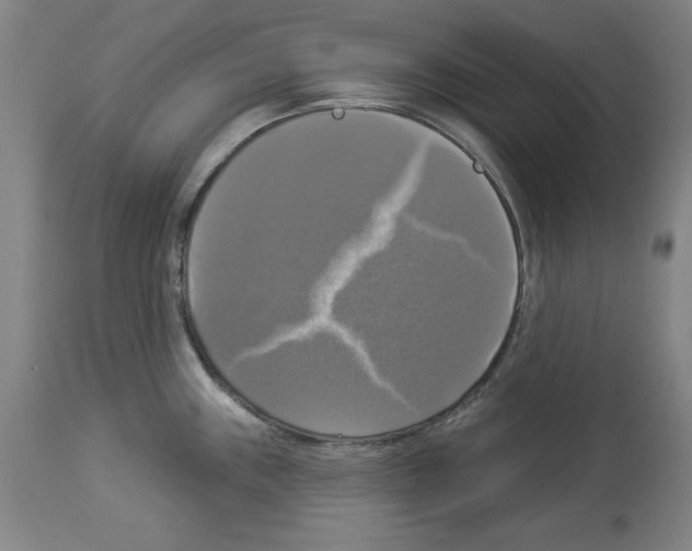 X0000112911243200910051035