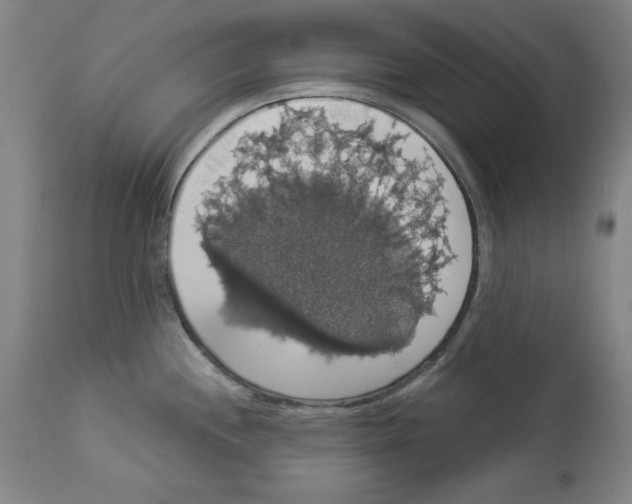 X0000112911244200910051035