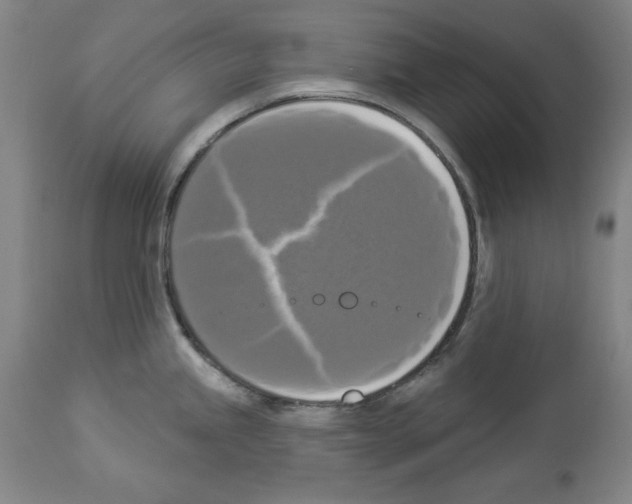 X0000112911245200910051035