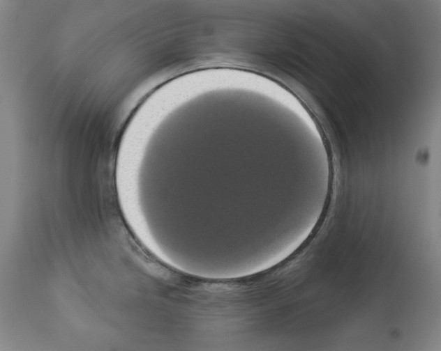 X0000112911246200910051035