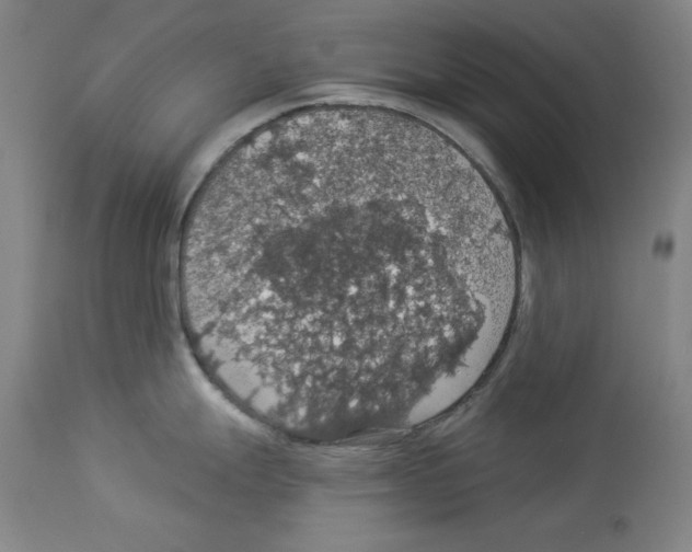 X0000112911247200910051035