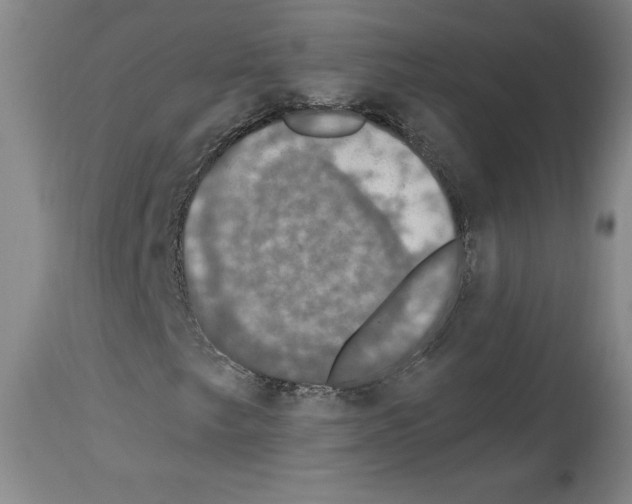 X0000112911249200910051034