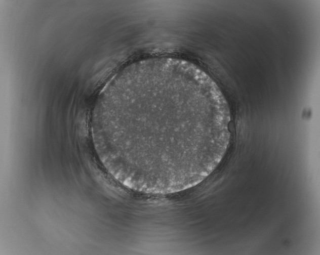 X0000112911250200910051034