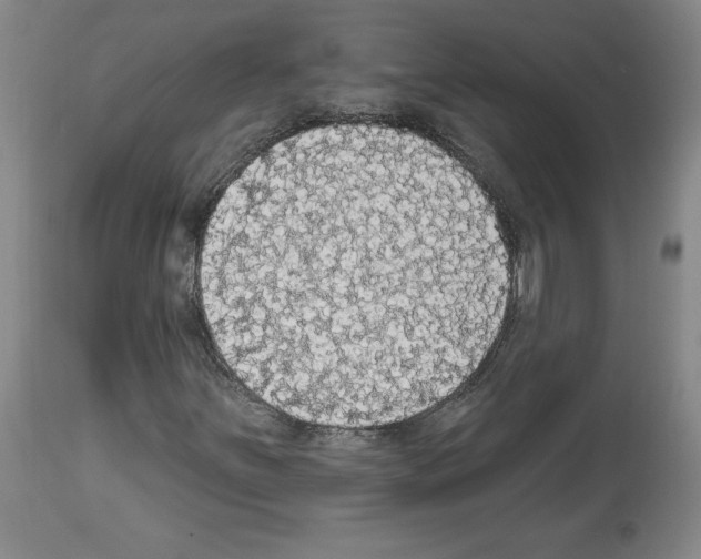 X0000112911251200910051034