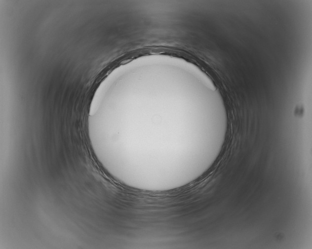 X0000112911252200910051034