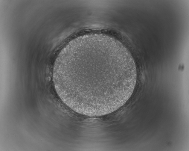 X0000112911253200910051034