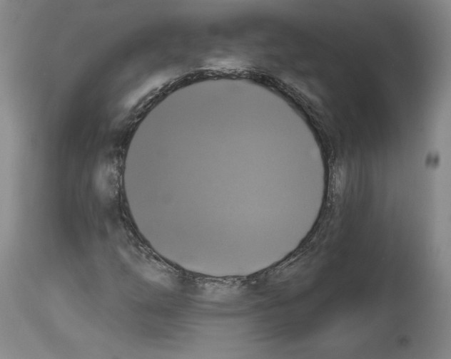 X0000112911254200910051034