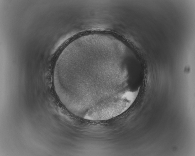 X0000112911256200910051034