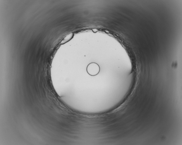 X0000112911257200910051034