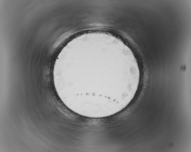 X0000112911259200910051034