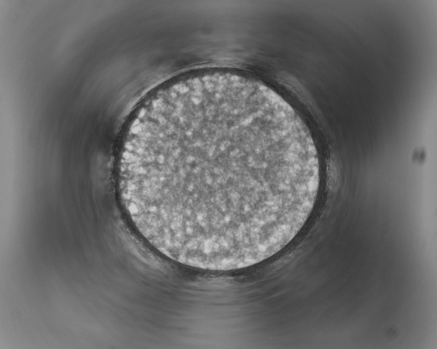 X0000112911260200910051034