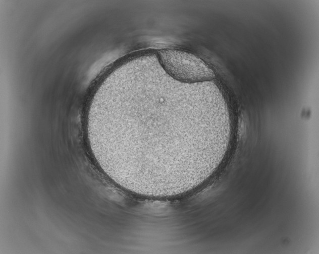 X0000112911261200910051034