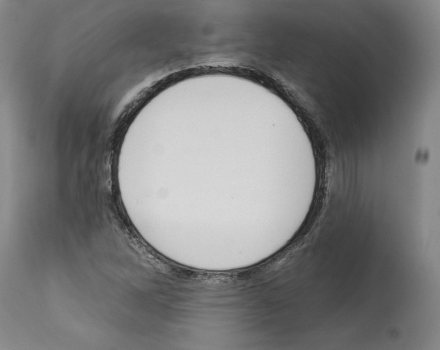 X0000112911262200910051034