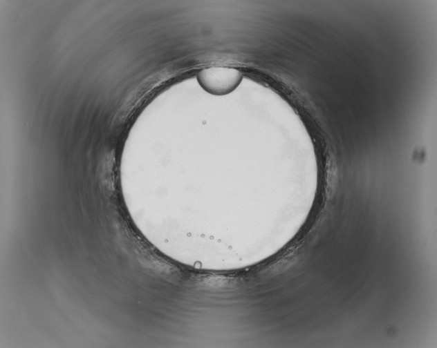 X0000112911265200910051034