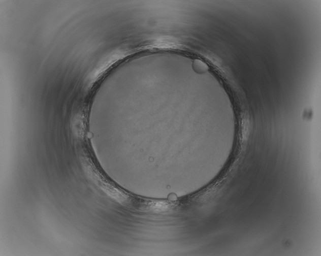 X0000112911266200910051034