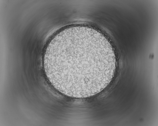 X0000112911267200910051034
