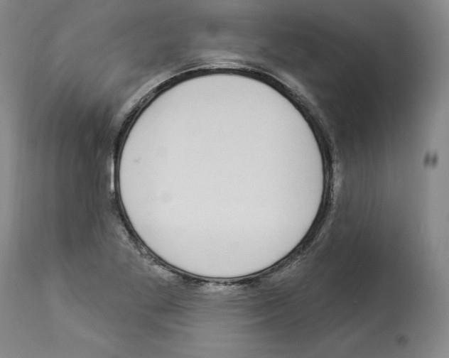 X0000112911269200910051034