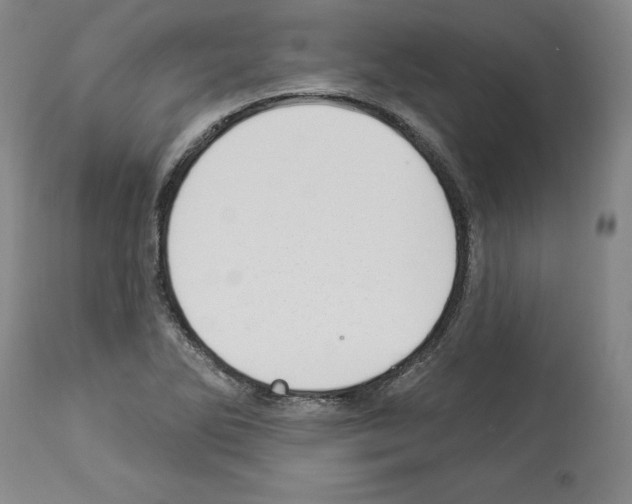 X0000112911270200910051034