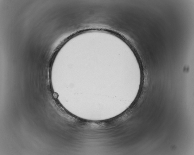 X0000112911271200910051034