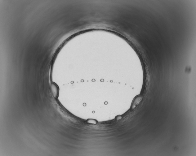 X0000112911272200910051034