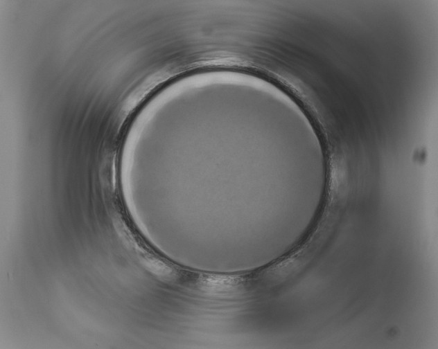 X0000112911274200910051034