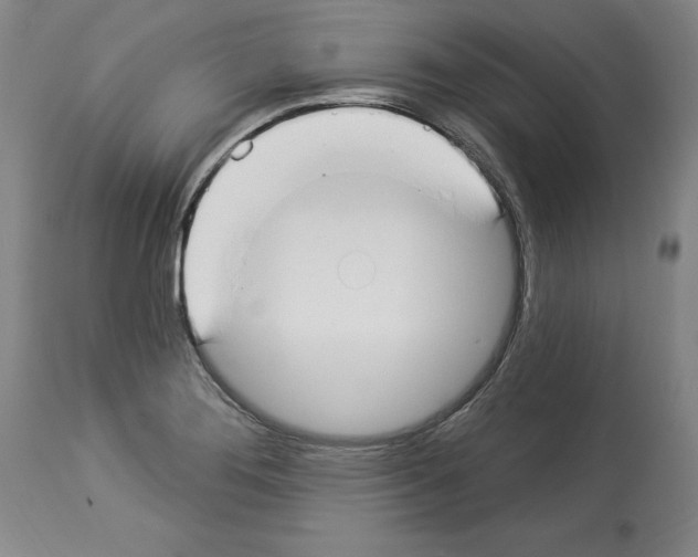 X0000112911276200910051034