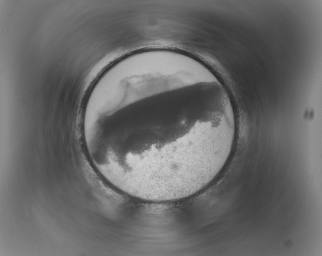 X0000112911278200910051034