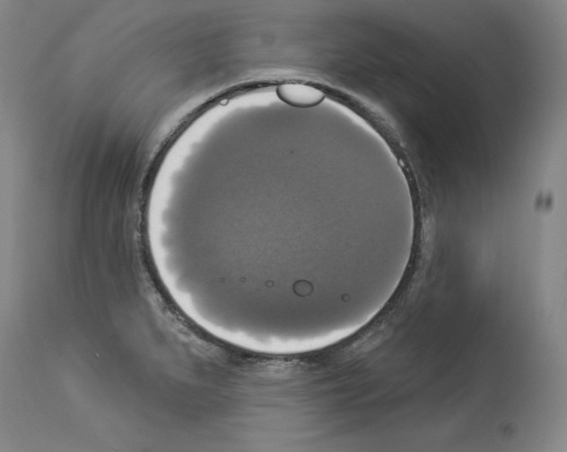 X0000112911279200910051034