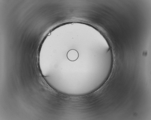 X0000112911280200910051034