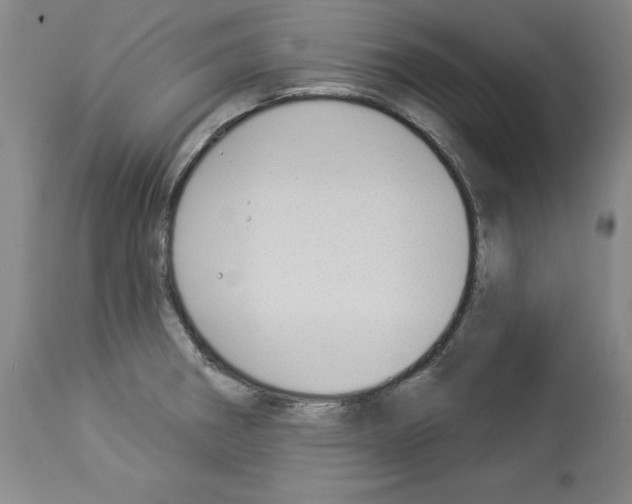 X0000112911282200910051034