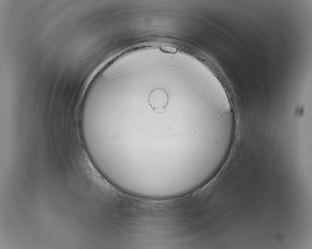 X0000112911284200910051034