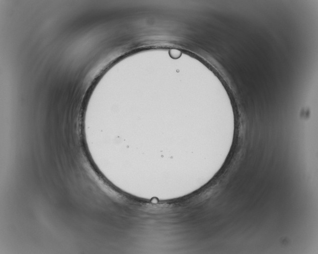 X0000112911285200910051034