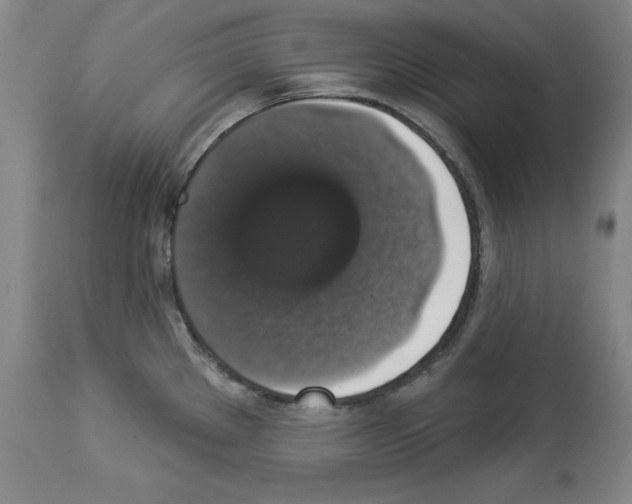 X0000112911289200910051034