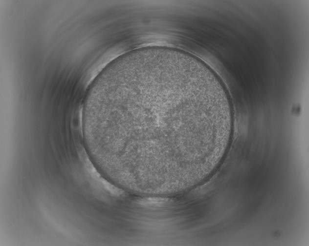 X0000112911290200910051034