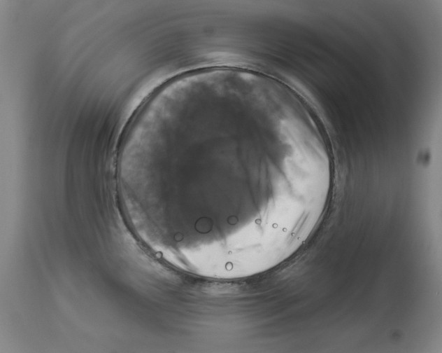 X0000112911291200910051034