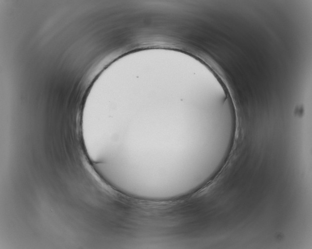 X0000112911293200910051034
