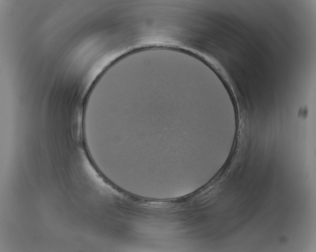 X0000112911295200910051033