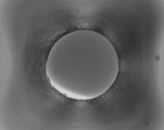 X0000112911297200910051033