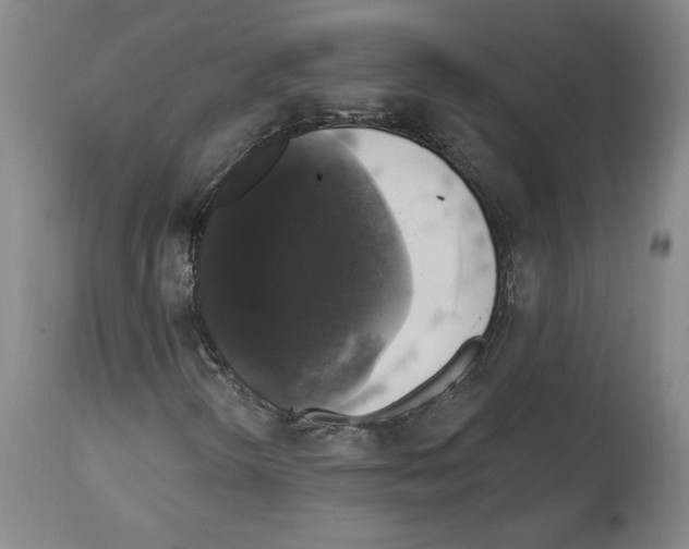 X0000112911298200910051033