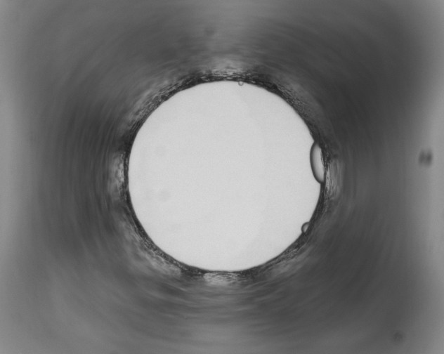 X0000112911299200910051033