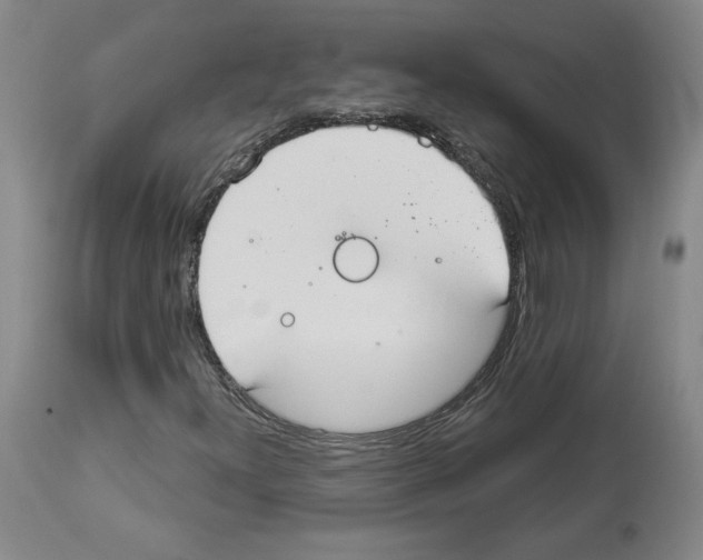 X0000112911300200910051033