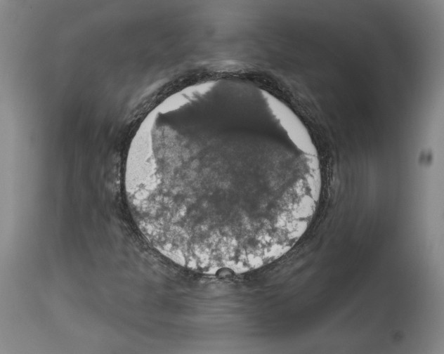 X0000112911301200910051033
