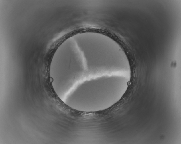 X0000112911303200910051033