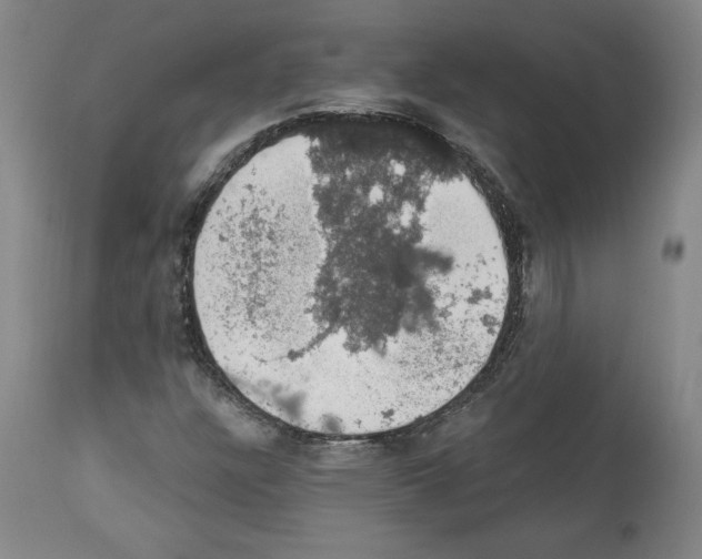 X0000112911304200910051033