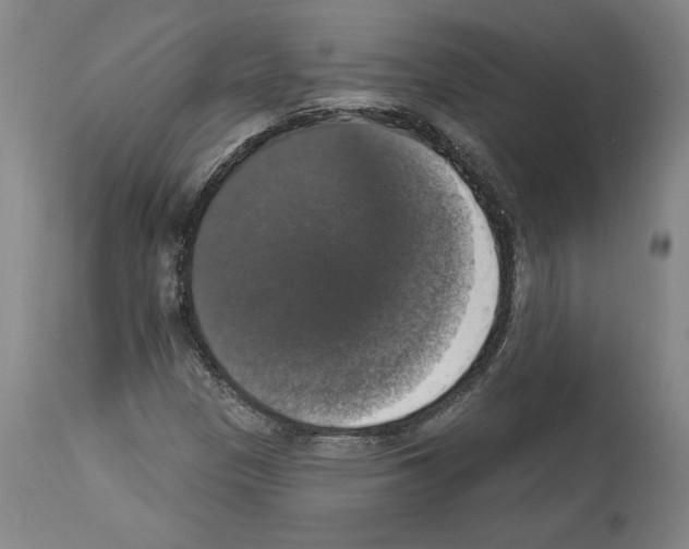 X0000112911305200910051033