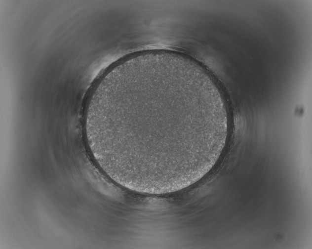 X0000112911308200910051033