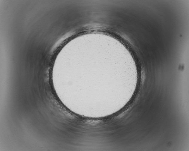 X0000112911309200910051033