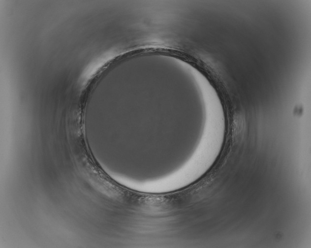 X0000112911310200910051033
