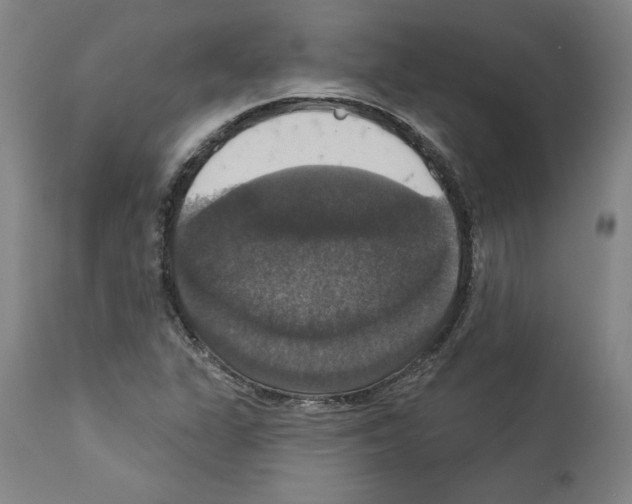 X0000112911311200910051033