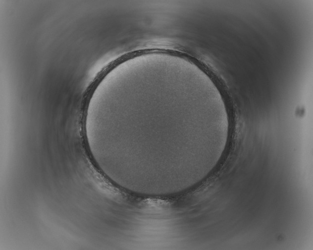 X0000112911312200910051033